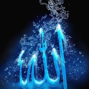 Meet your Posher, Ali